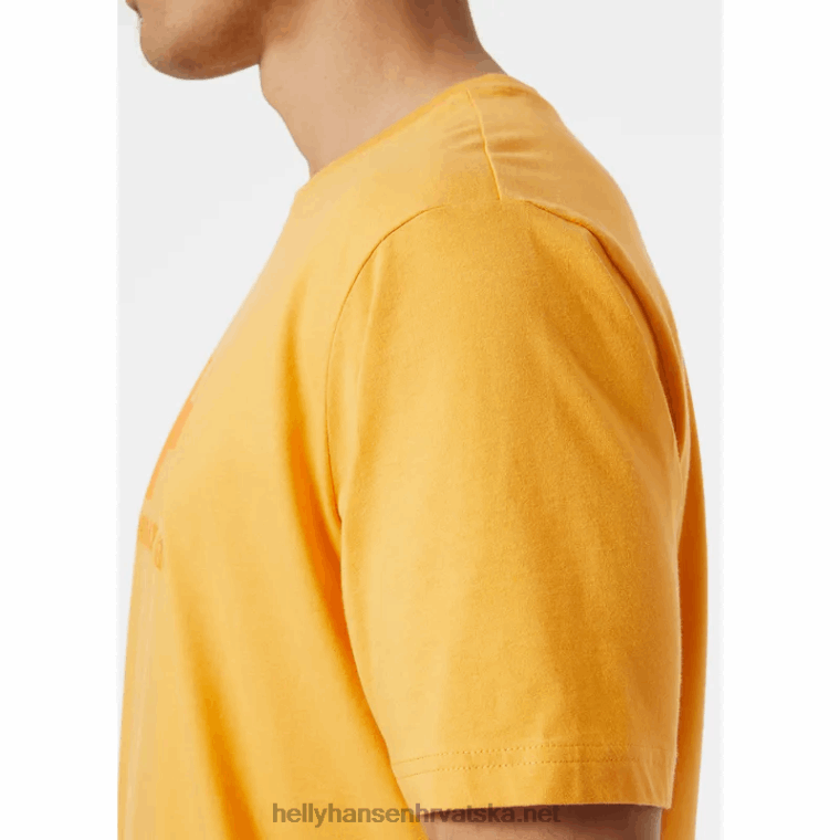 J0HV850 muška majica s logotipom hh muškarci Helly-Hansen snijeg - Image 6