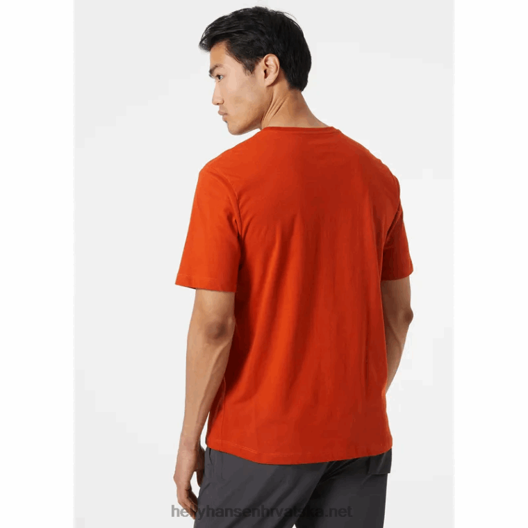 J0HV922 f2f majica od organskog pamuka 2.0 muškarci Helly-Hansen žad - Image 3