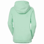 J0HV1890 ženska majica s kapuljačom hh logo žene Helly-Hansen terakota - Image 4