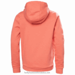 J0HV2497 majica s kapuljačom s hh logom za juniore 2.0 djeca Helly-Hansen ametist/vrijesak - Image 2