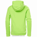 J0HV2498 majica s kapuljačom s hh logom za juniore 2.0 djeca Helly-Hansen vrijesak/breskva jeka - Image 2