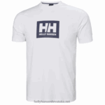 J0HV865 muška hh box majica muškarci Helly-Hansen terakota